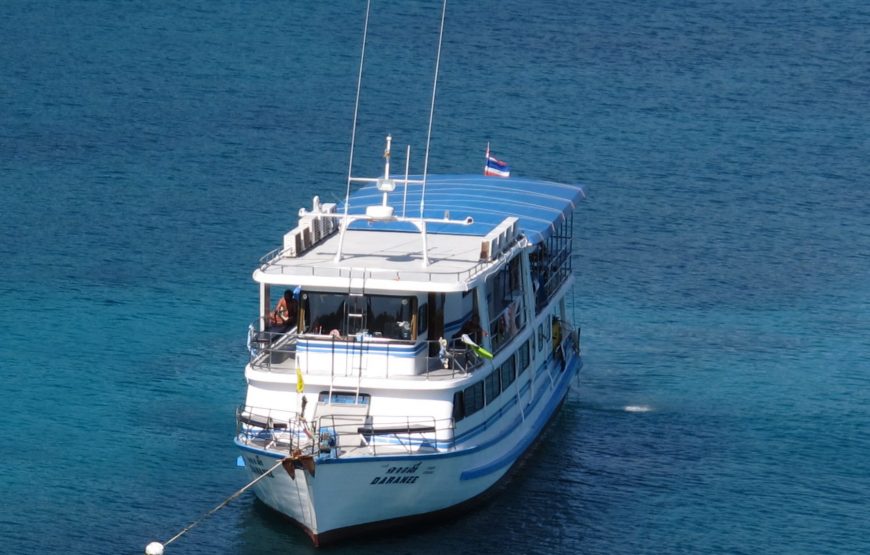 Similan Islands Liveaboard Scuba Diving Tour (14 Dives, 4 Days)