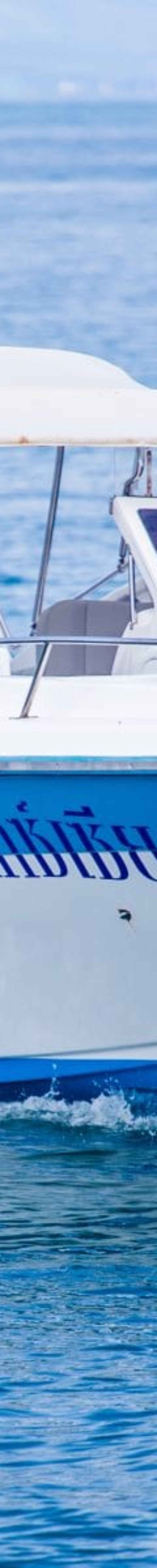 private speedboat charters
