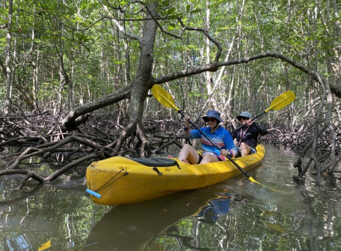 Mangrove kayaking Koh Yao Yai