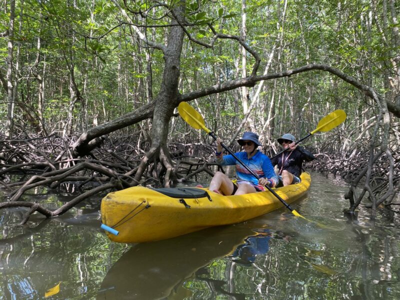 Mangrove kayaking Koh Yao Yai