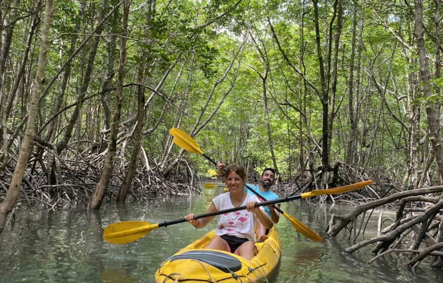 Na kajakoch cez mangrovníky